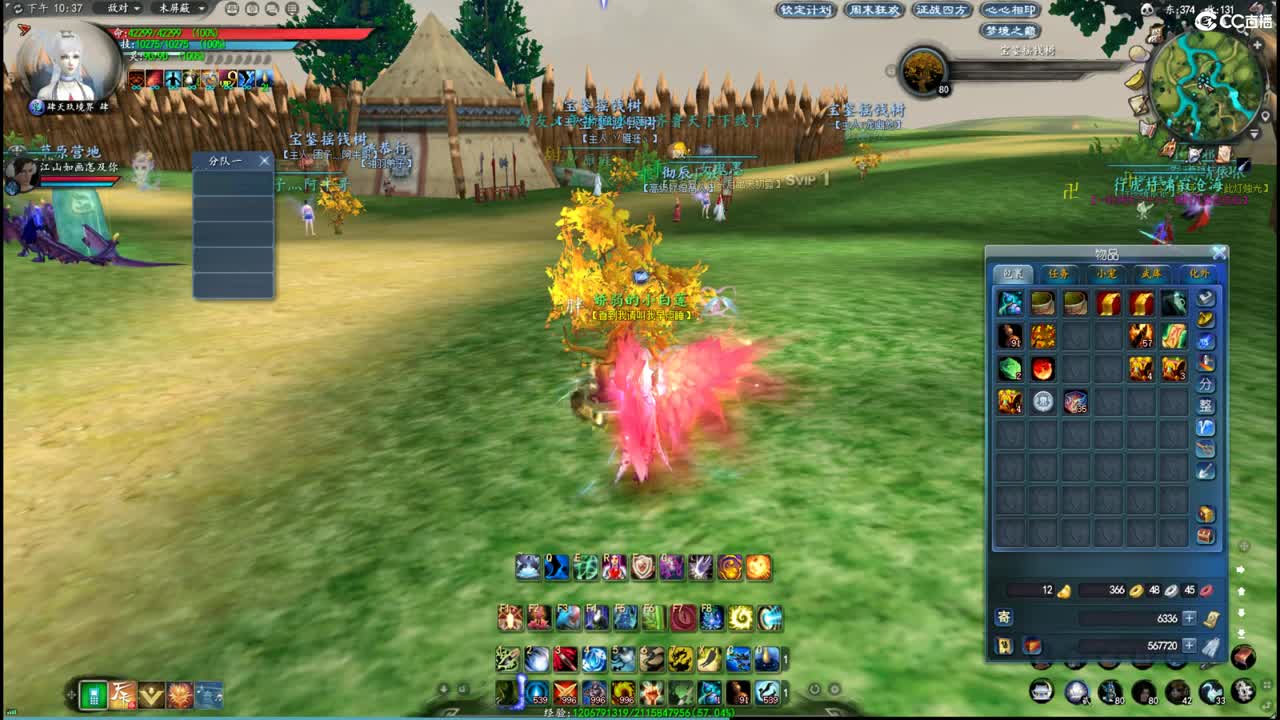 柔弱不能自理 第5段