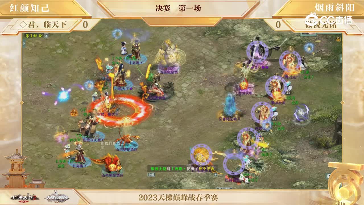 视频13