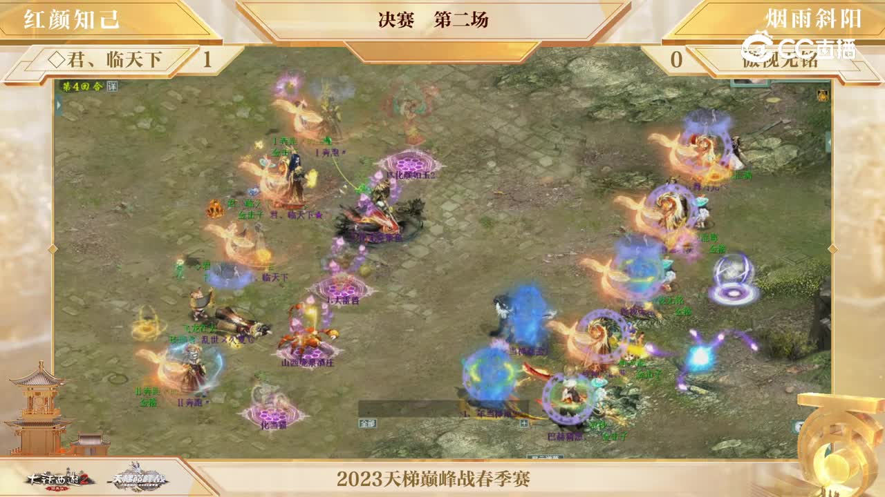 视频19