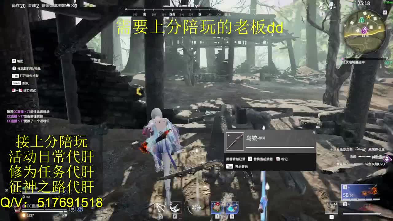接陪,上分,修行日常各种 第2段