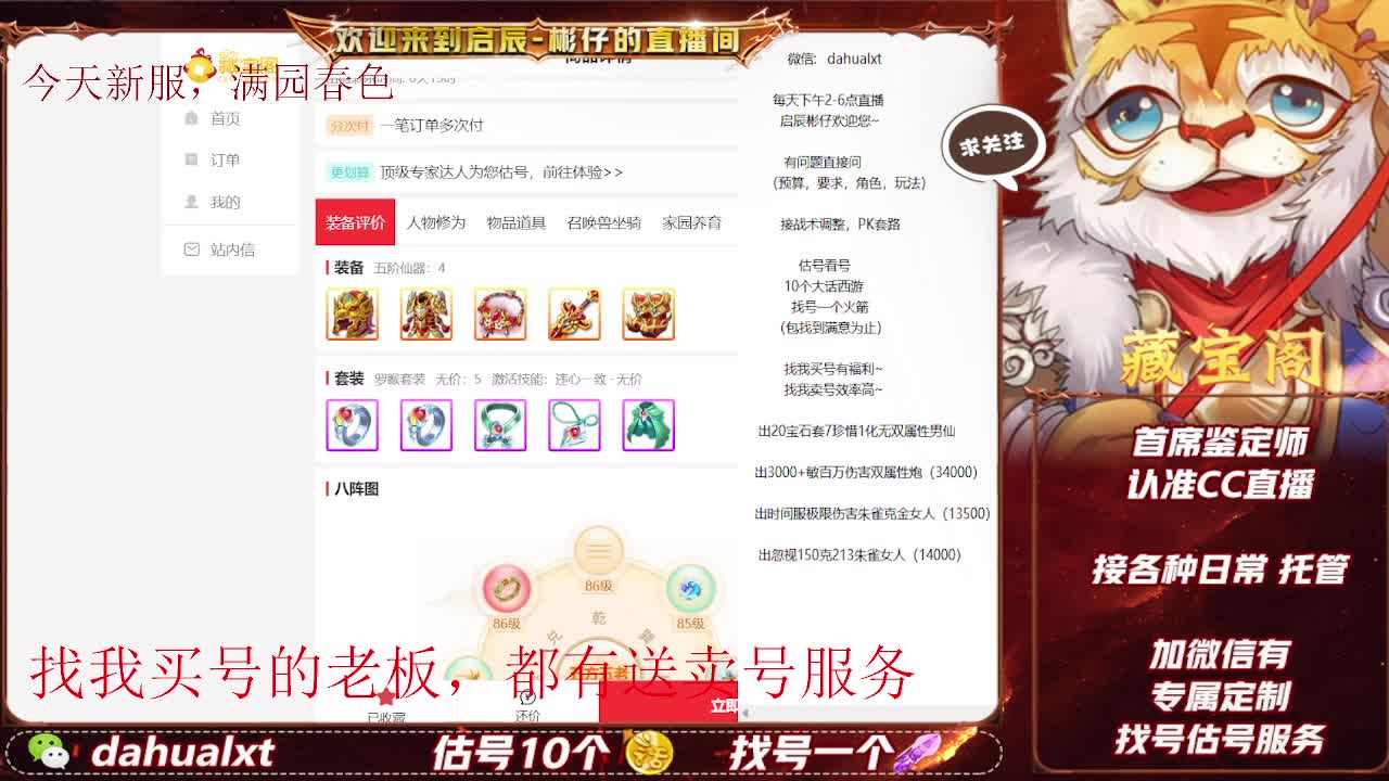 藏宝阁看号估号 第5段