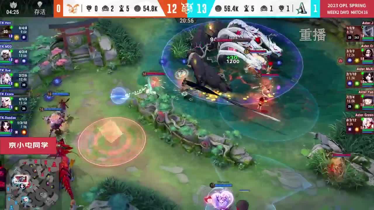 平安京OPL春季赛 第10段