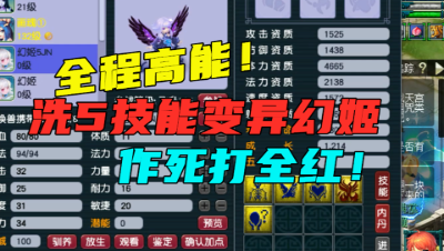 梦幻西游：全程高能！4只变异幻姬洗5技能打全红，循环起来要命！