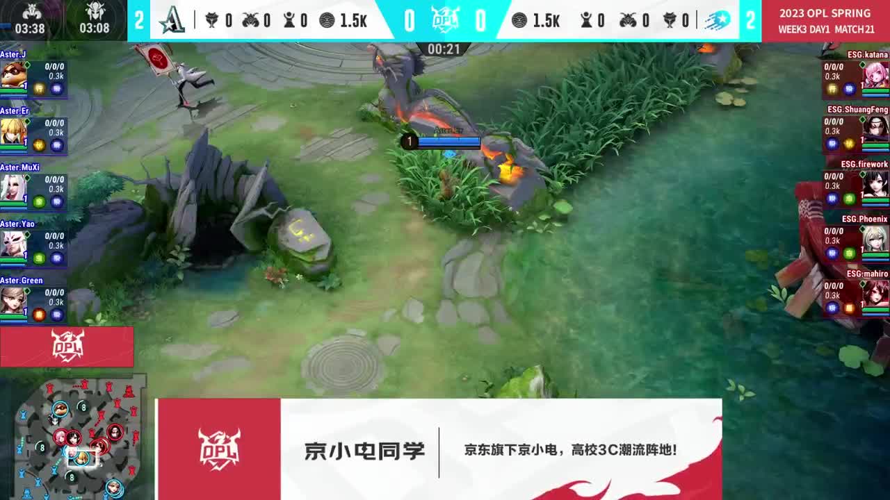 平安京OPL春季赛 第2段