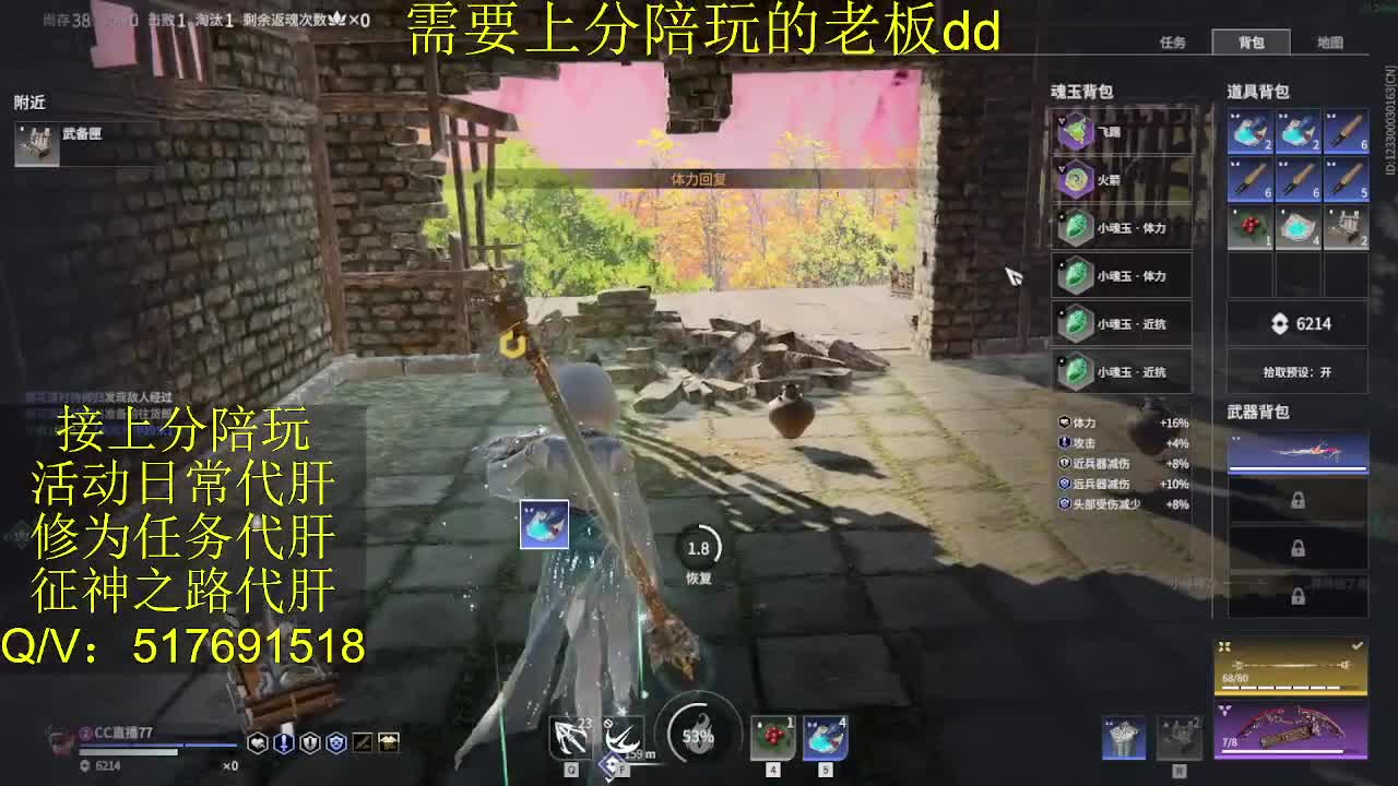 接陪,上分,修行日常各种 第11段