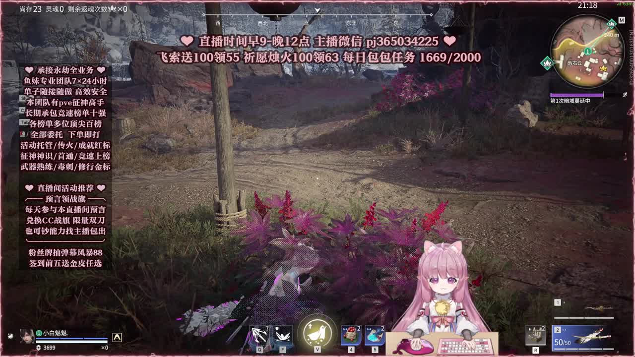 接账号托管，什么单都能打 第4段