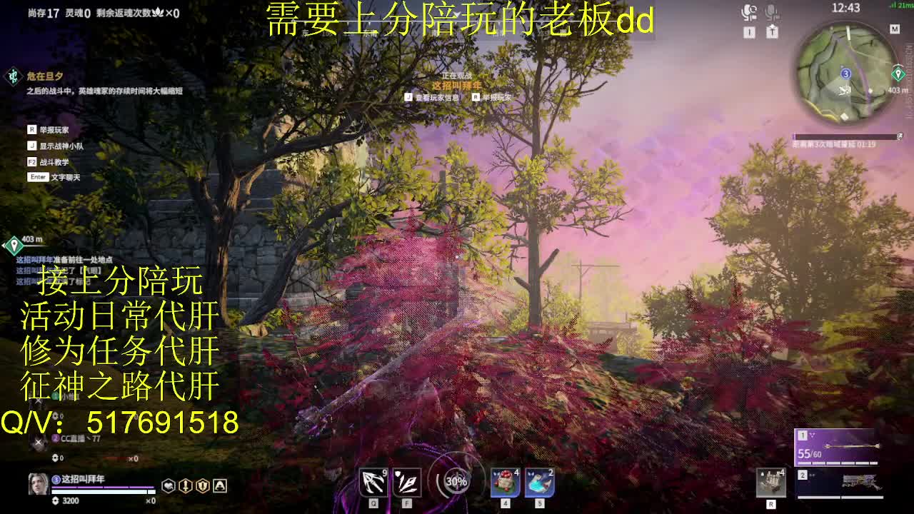 接陪,上分,修行日常各种 第9段