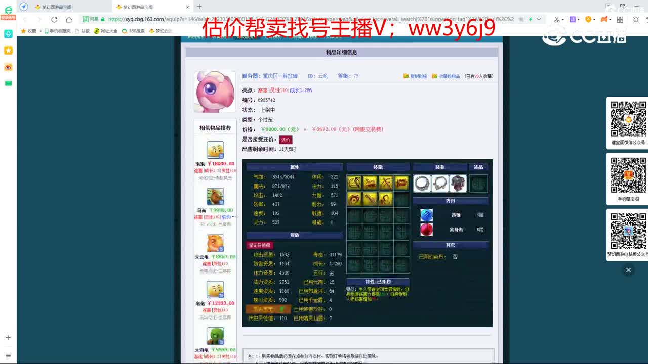 【主播点评】云龟
