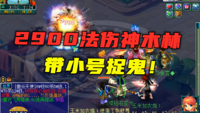 梦幻西游：2900法伤神木带小号捉鬼什么体验？招招过万，真过瘾！