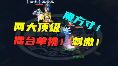 梦幻西游：2大顶级单挑方寸对决，惊现2666法防孩子，惊到老王！