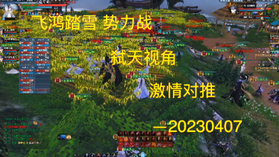 20230408 飞鸿踏雪 势力战