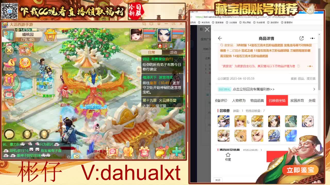 藏宝阁看号估号 第2段