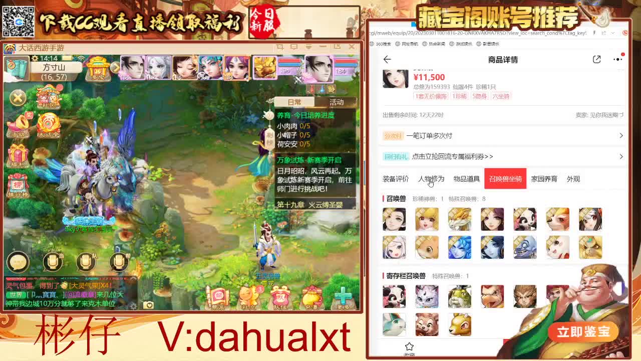 藏宝阁看号估号 第1段