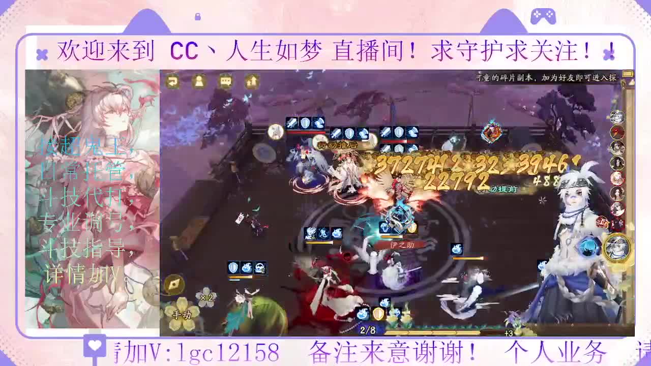 岚削了  看下斗技能玩吗 第2段