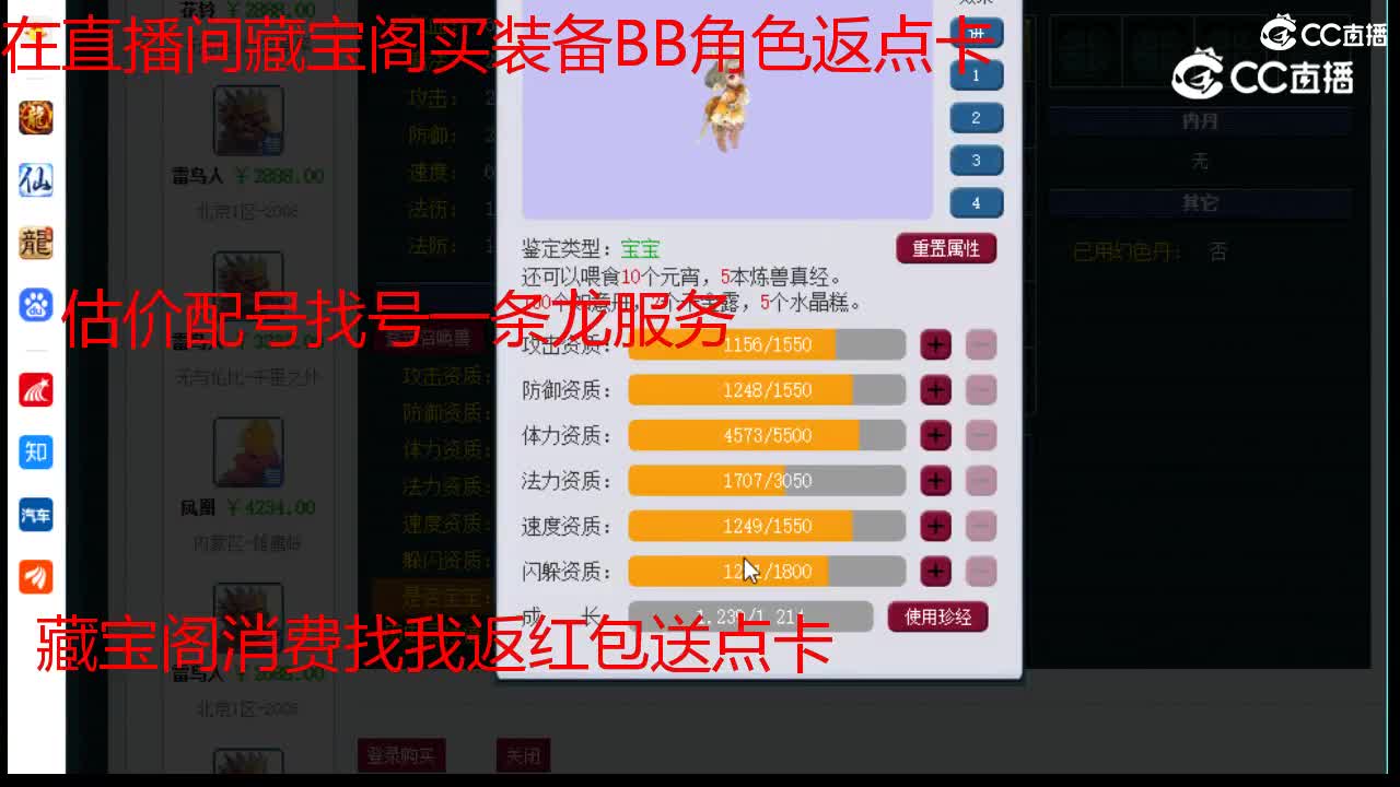 【主播点评】龙鲤