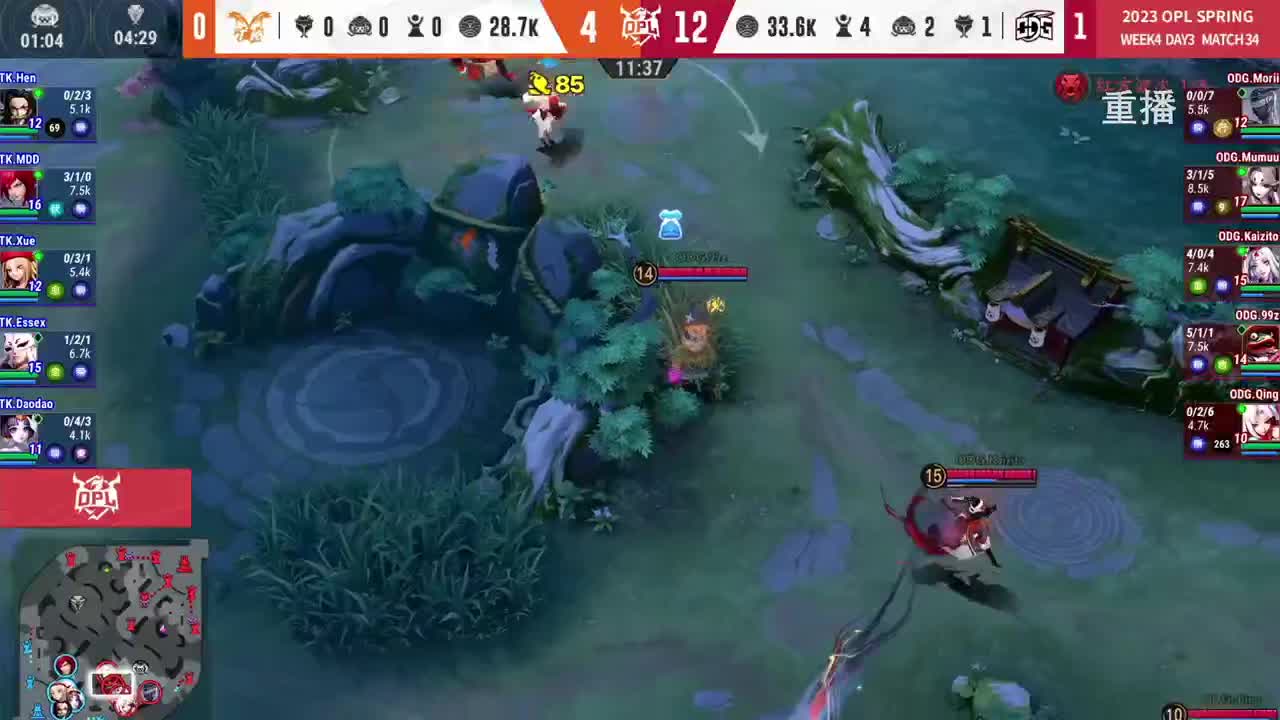 平安京OPL春季赛 第9段