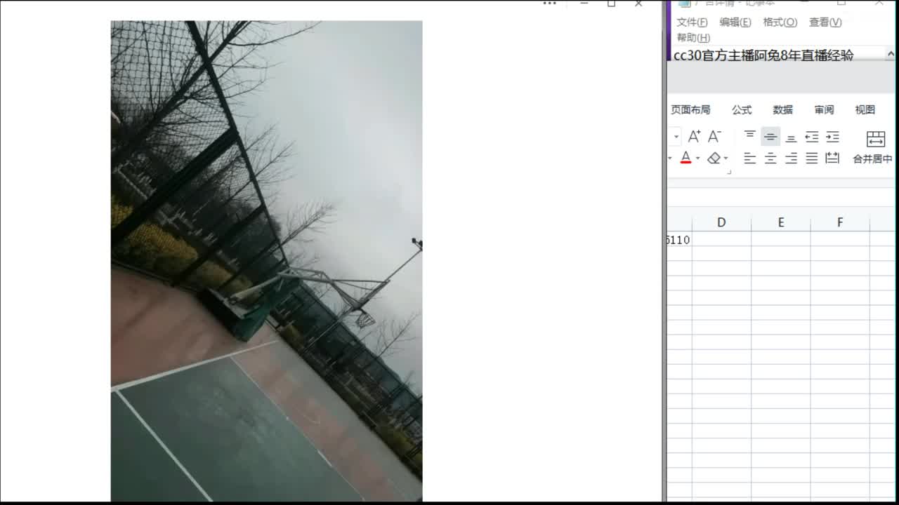 估价配装细心负责的主播 第7段