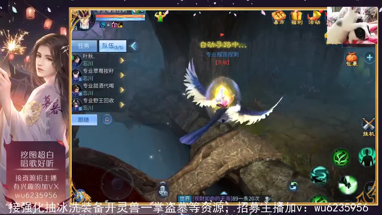 资源很白，唱歌还行~ 第5段