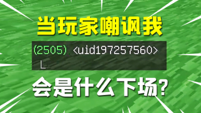 我的世界：当玩家对我说“L”，他的下场会怎样？