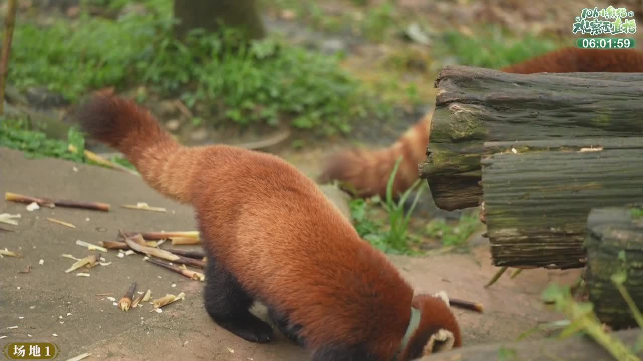 111测试 第9段