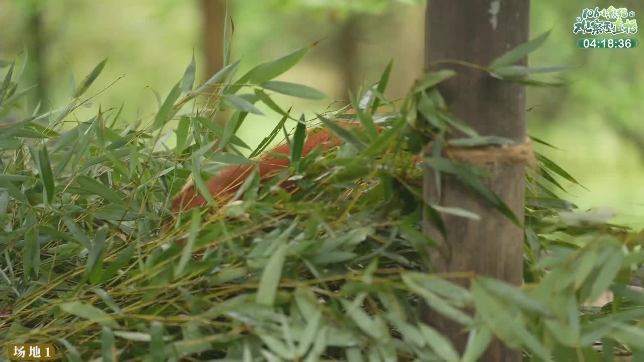 111测试 第12段