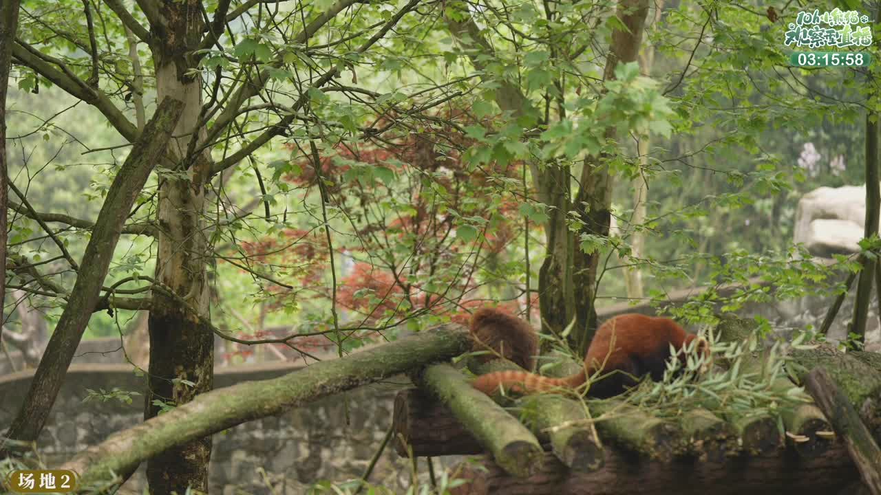 111测试 第2段