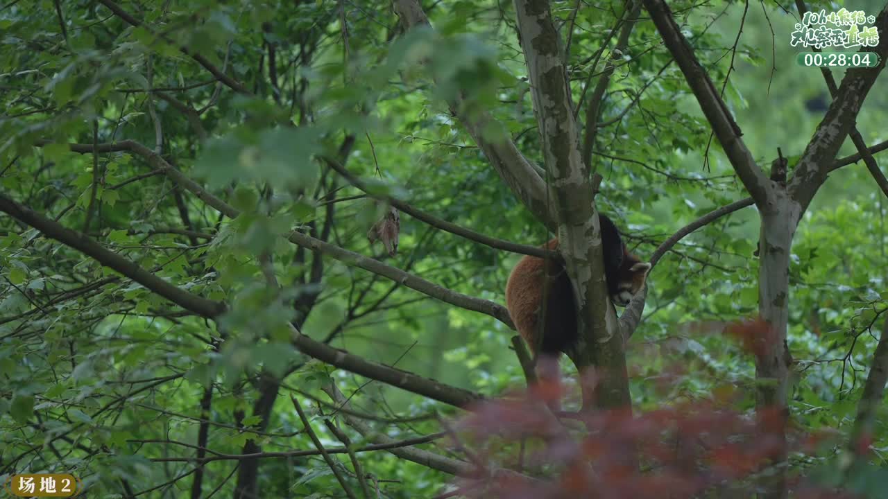 111测试 第8段