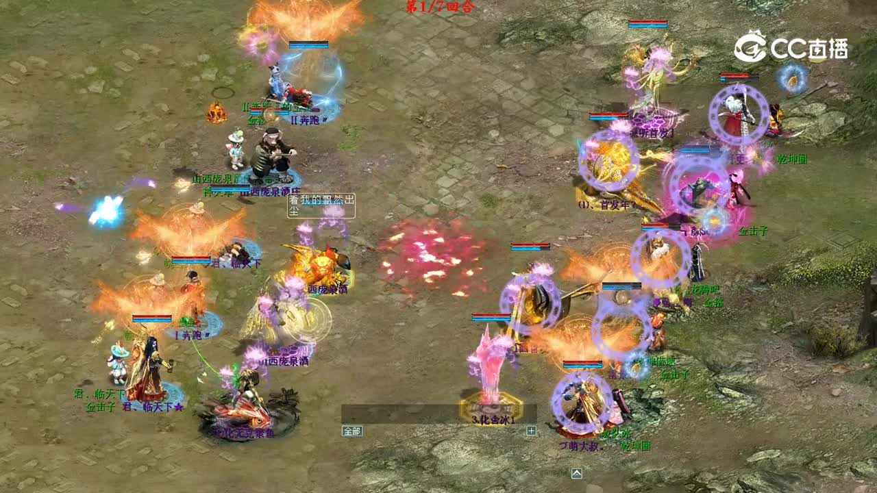 视频4