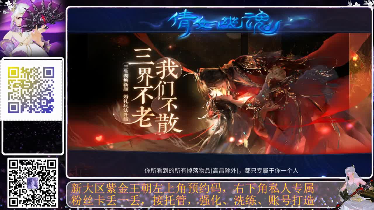紫金王朝，火热预约，来吧 第2段