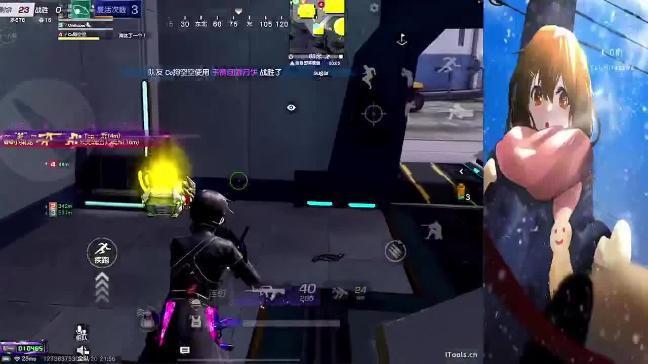 全网寻找失踪的虾仁 第8段