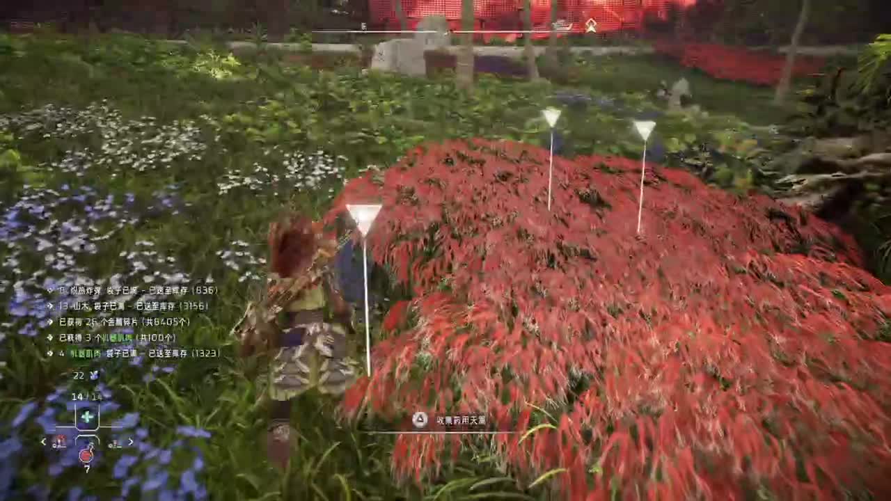 地平线2-炙炎海岸 第4段