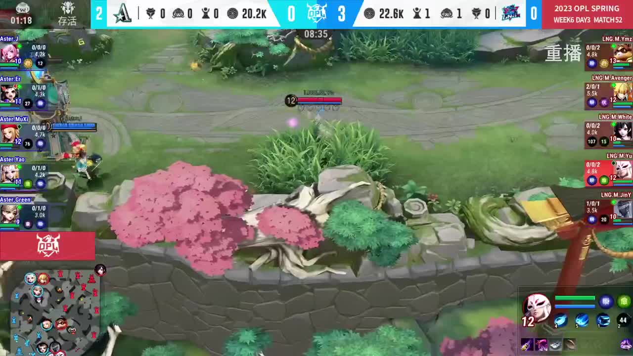 平安京OPL春季赛 第5段