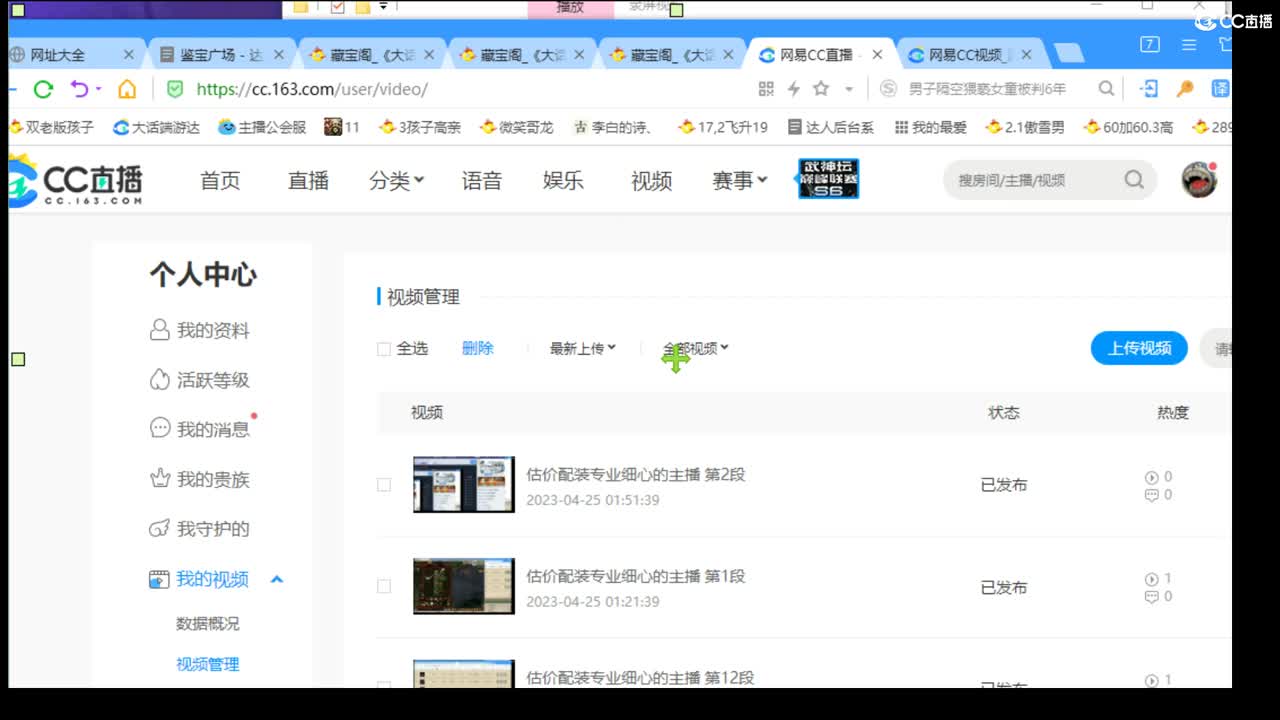 估价配装专业细心的主播 第3段