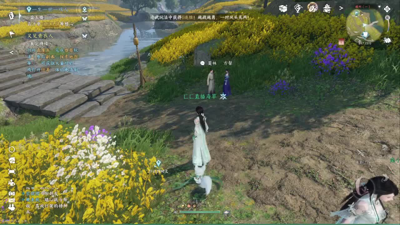 铁衣素问哪家强 第5段