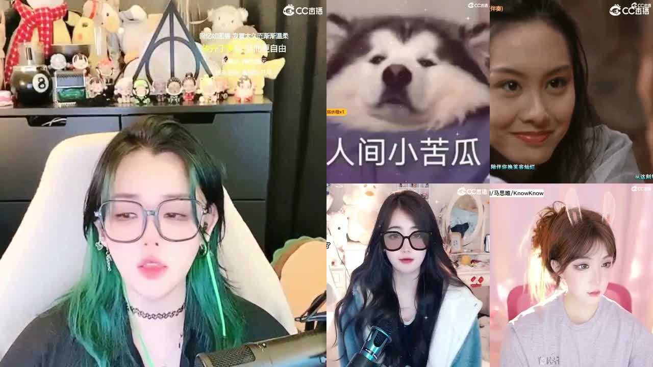 世界500强CEO观看中 第2段