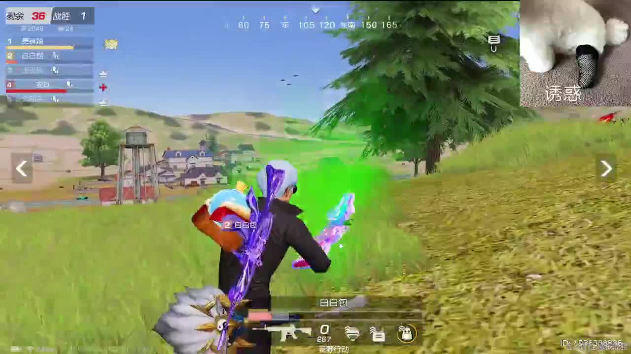 小众喜好 第8段