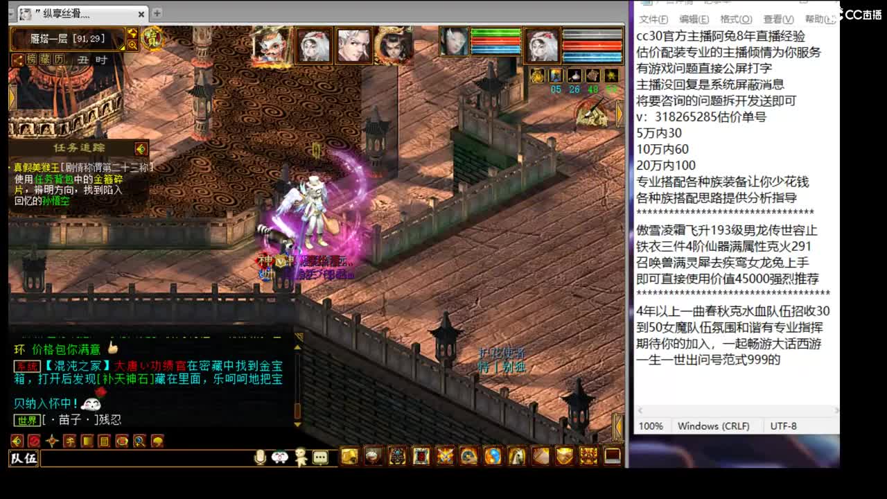 估价配装细心专业的主播 第11段