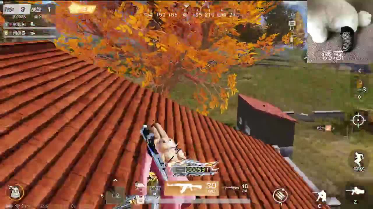 小众喜好 第2段