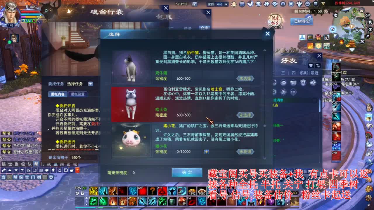 专业看号估号，接各种资源！ 第6段