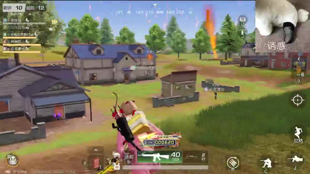 小众喜好 第5段