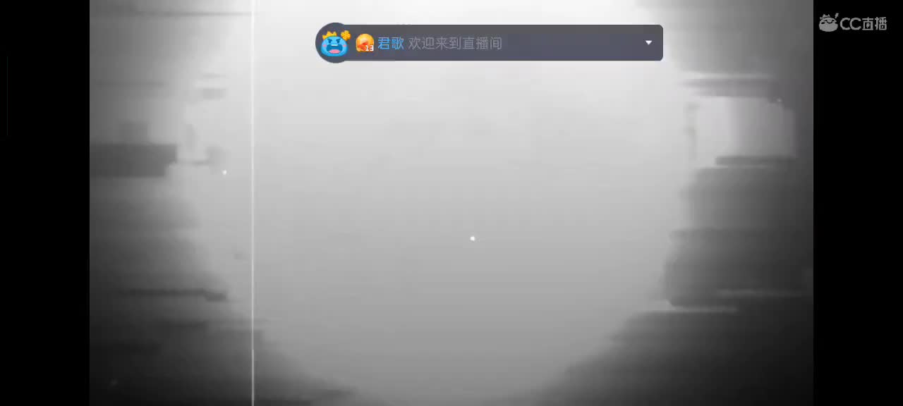 少允资质单排，资深中单 第11段