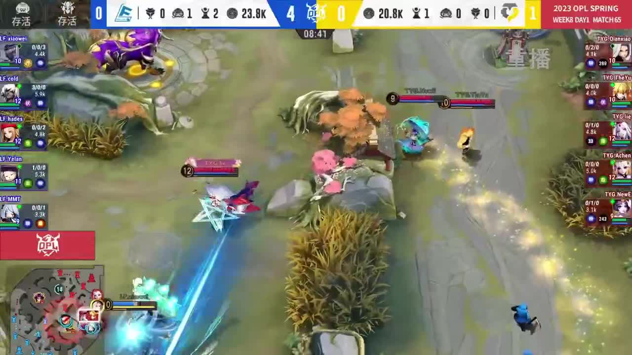 平安京OPL春季赛 第13段