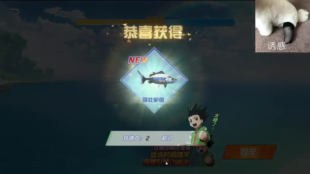 小众喜好 第1段