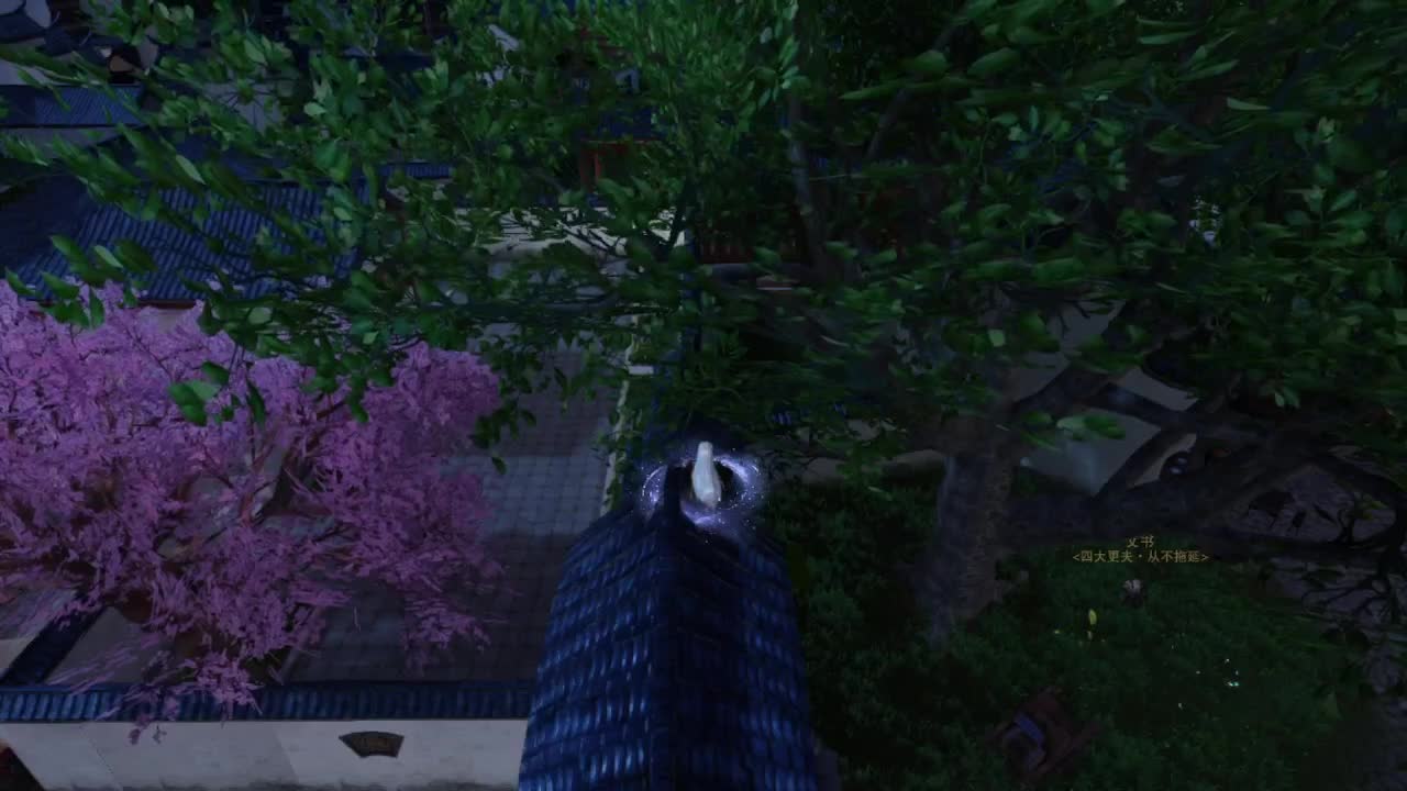 省级素问 第1段
