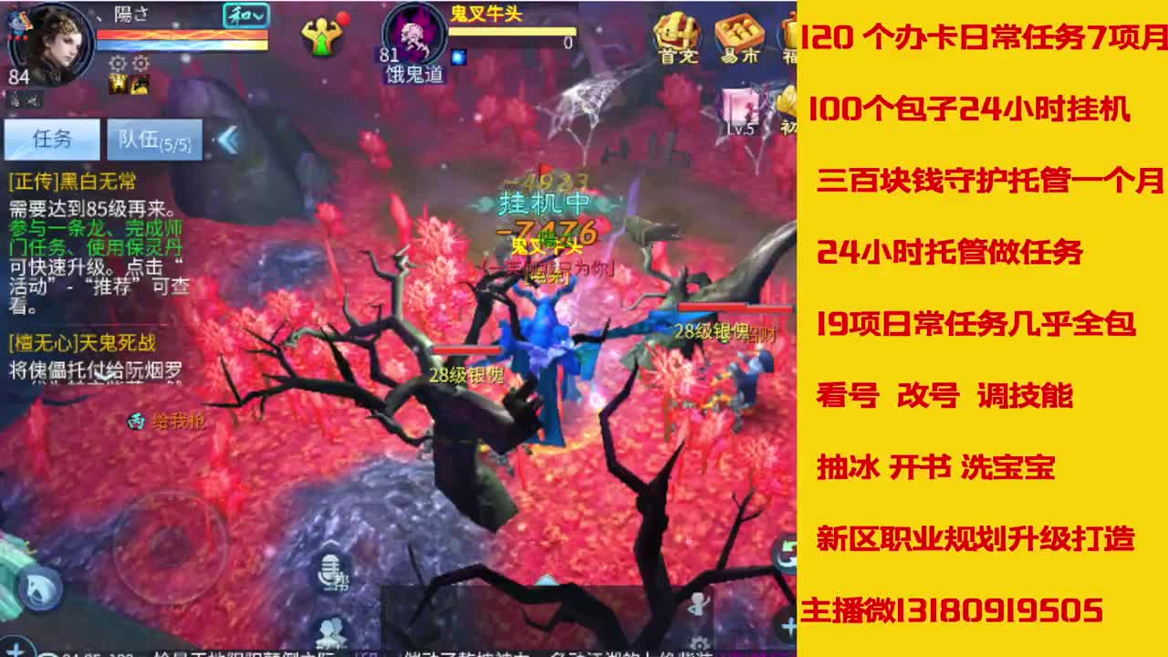 接托管全程带队接卡龙专业效率 第1段