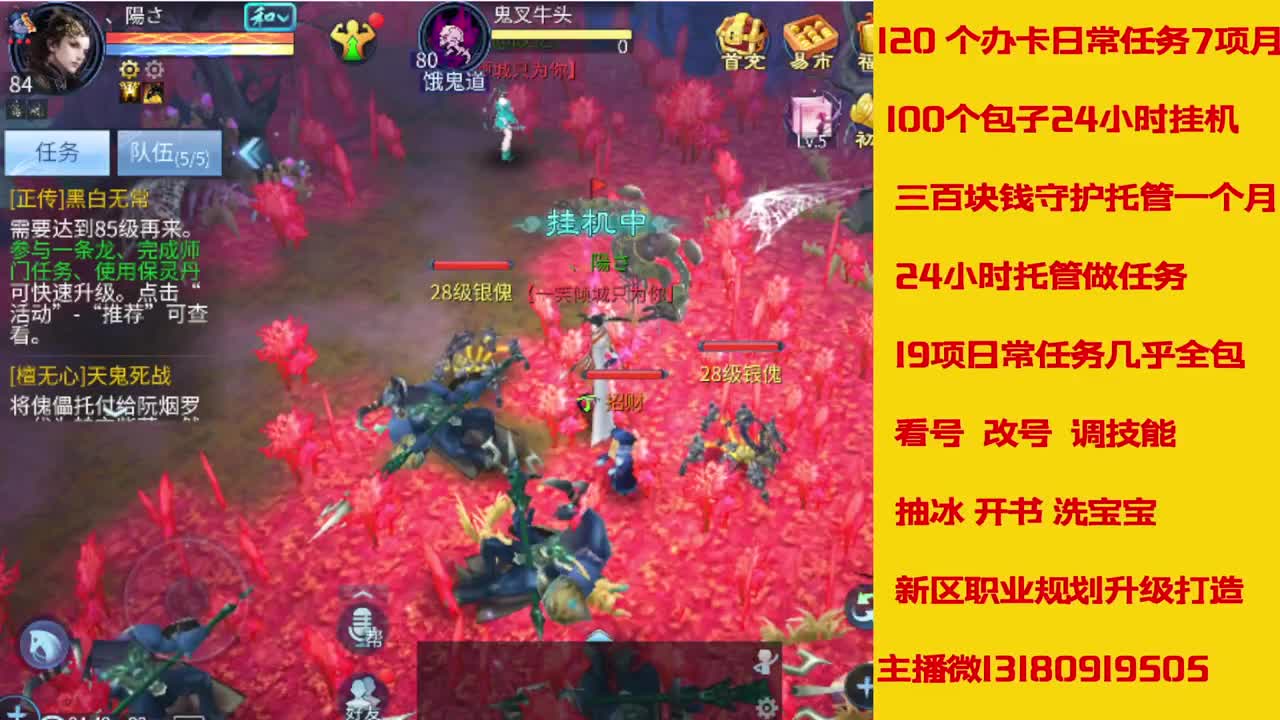 接托管全程带队接卡龙专业效率 第2段