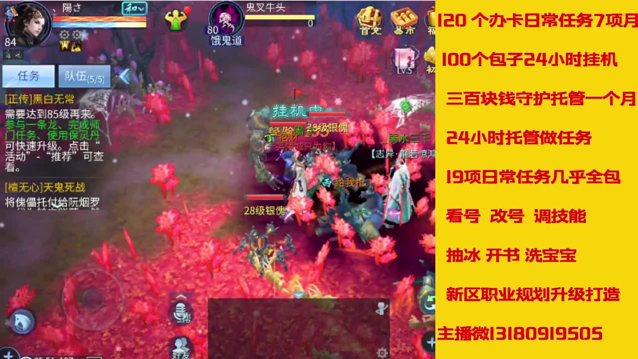 接托管全程带队接卡龙专业效率 第4段