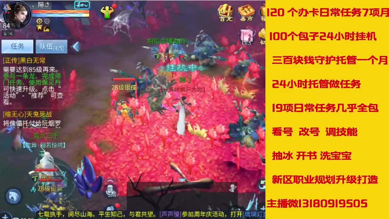 接托管全程带队接卡龙专业效率 第9段