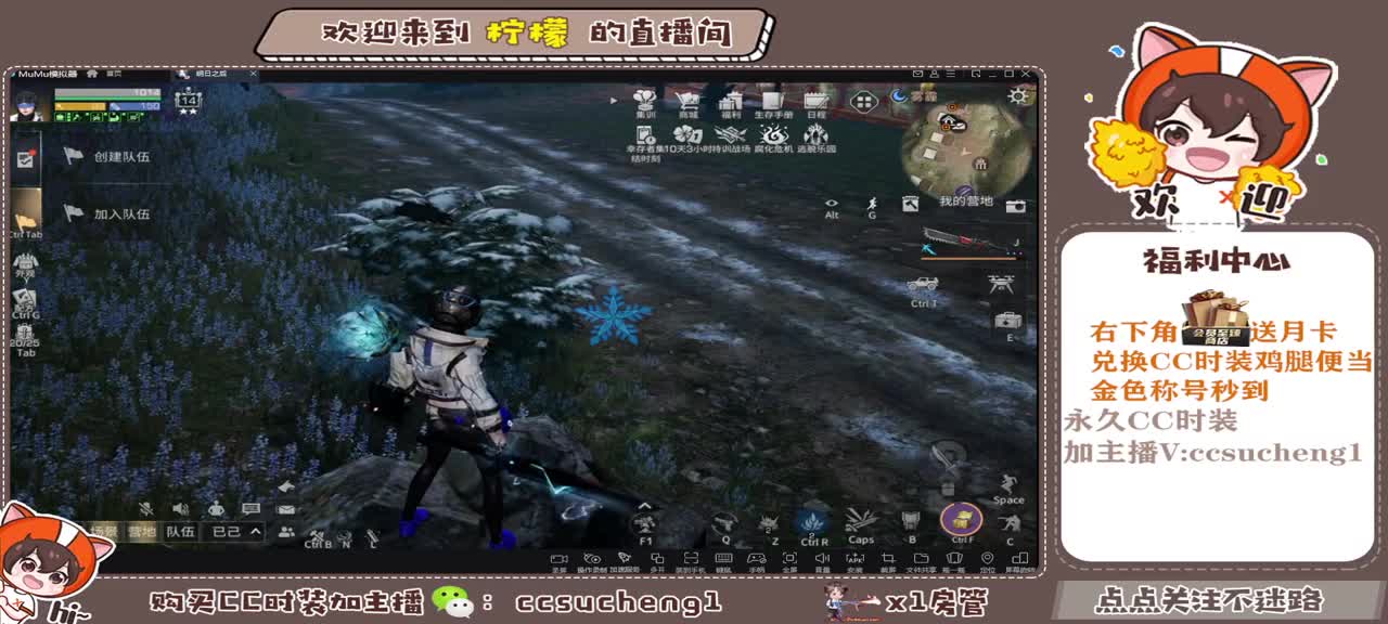 (都有)CC时装了解一下 第6段