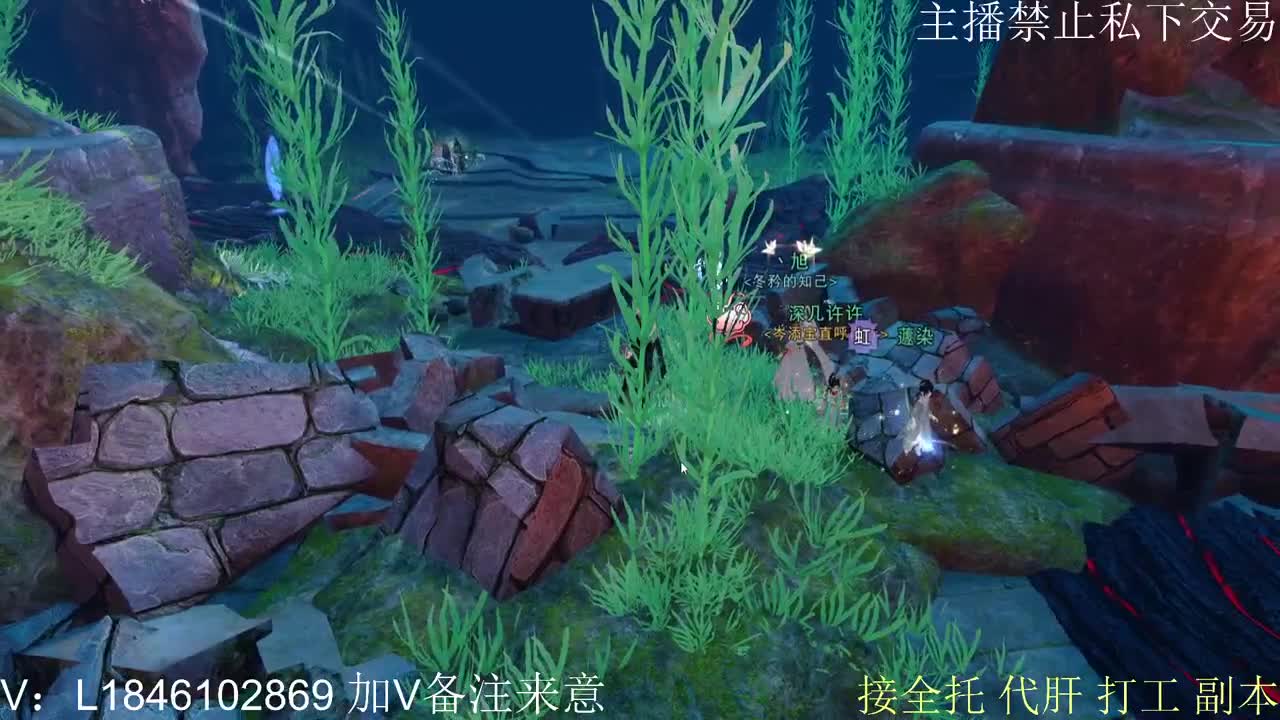 接托管各种 第2段
